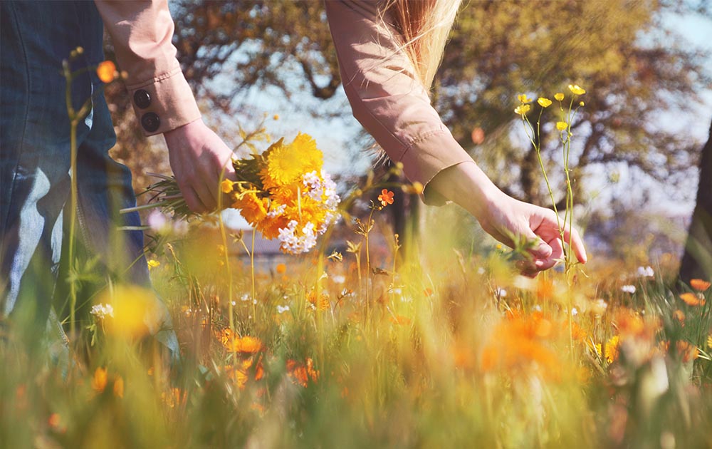 schmidundmorgen Beratung Wettbewerbsvorteil Frau pflückt Blumen auf Wiese